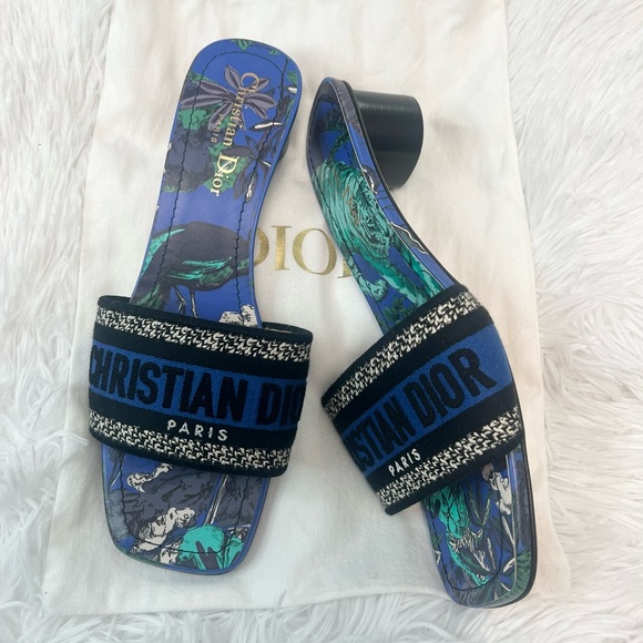 Dior Shoes - Dior Dway Heeled Slide Blue & Black Embroidered Cotton